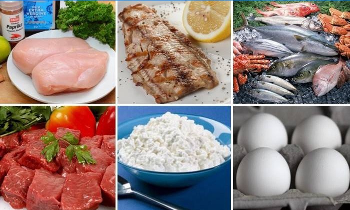 Izbornik proteinske prehrane