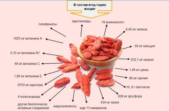 Sastav korisnih elemenata goji bobica