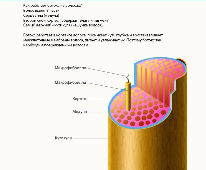 Kako Botox djeluje na kosu