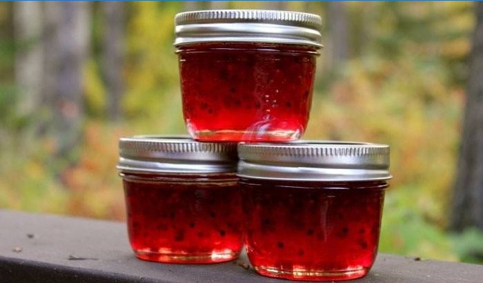Klasična marmelada s pitom viburnumom