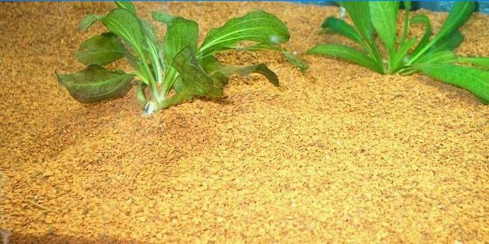 Hranjivo tlo za akvarijske biljke