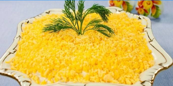 Posuda sa salatom sa salatom Mimosa