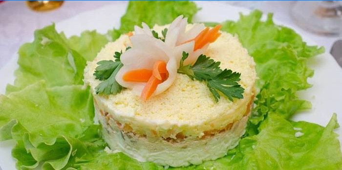 Prezentacija na tanjuru salate Mimosa