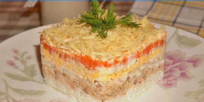 Gotova salata na tanjuru