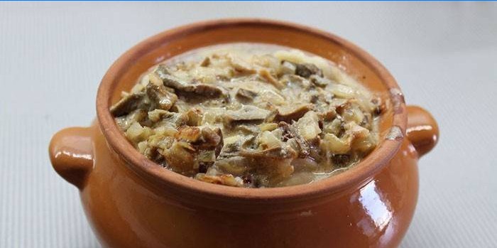 Lonac s knedlama u umaku od gljiva