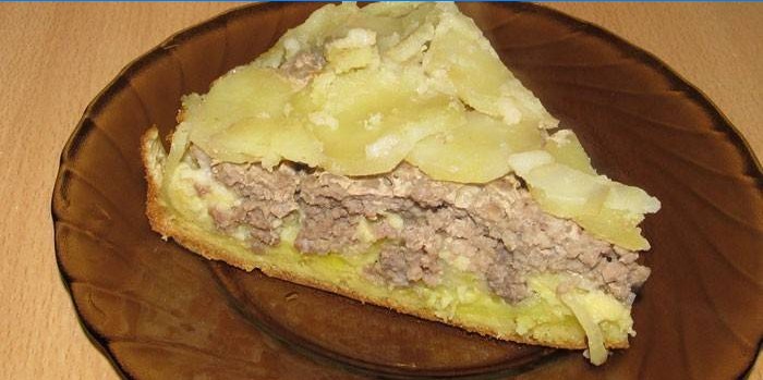Želatina pita punjena mljevenom piletinom i krumpirom