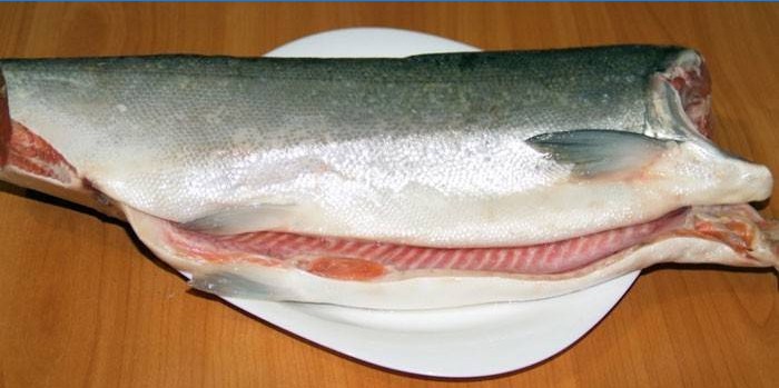 Sjeckani coho losos na tanjuru