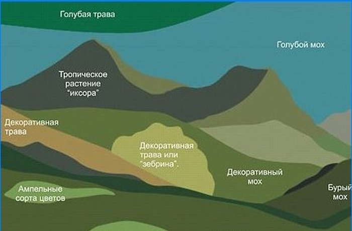 Stvaranje volumetrijskih fitopanela