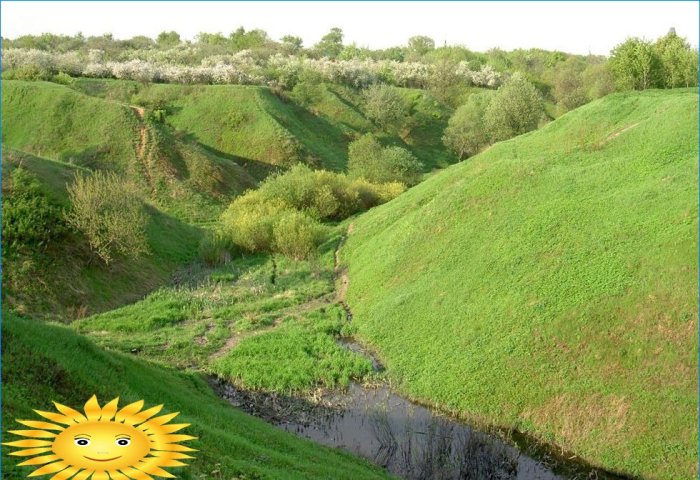 Ravine na mjestu - koristite ili se borite