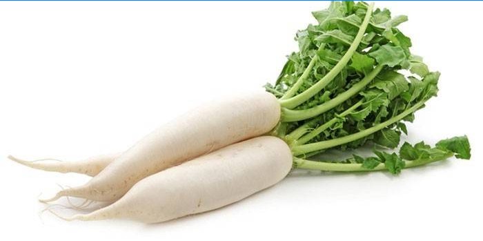 Radish daikon