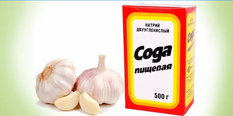 Češnjak sa sodom