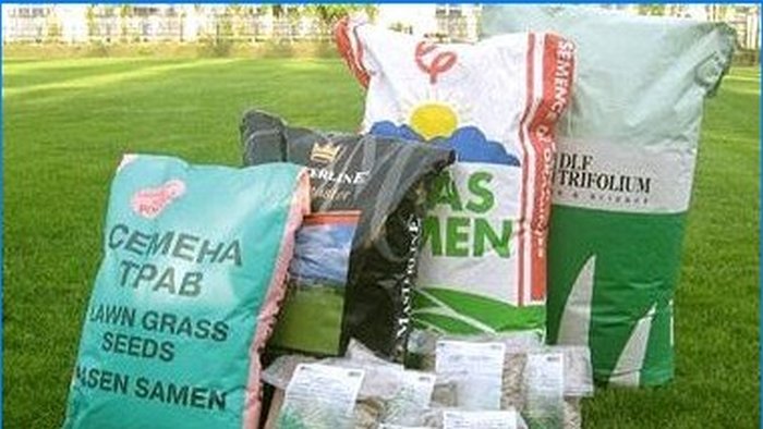 Kako odabrati sjeme travnate trave