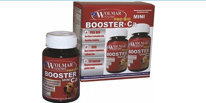 Kompleks kostiju i hrskavice Booster Ca Mini