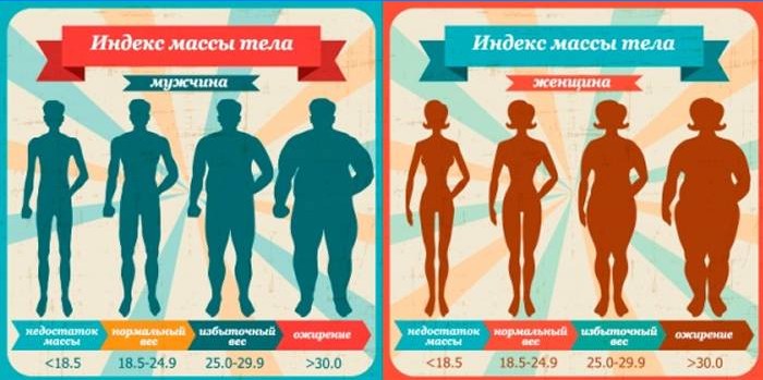 Indeks tjelesne mase odraslih