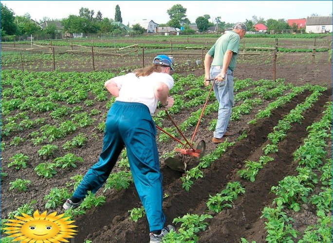 Hladnjaci: vrste, svrha, značajke uporabe