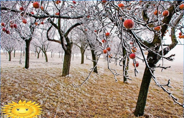 Jesen u zemlji: izbor fotografija za raspoloženje