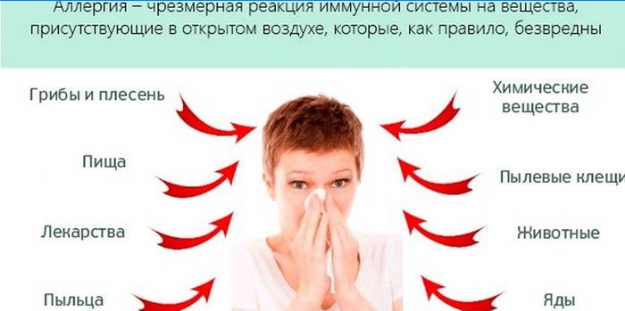 Uzroci alergija