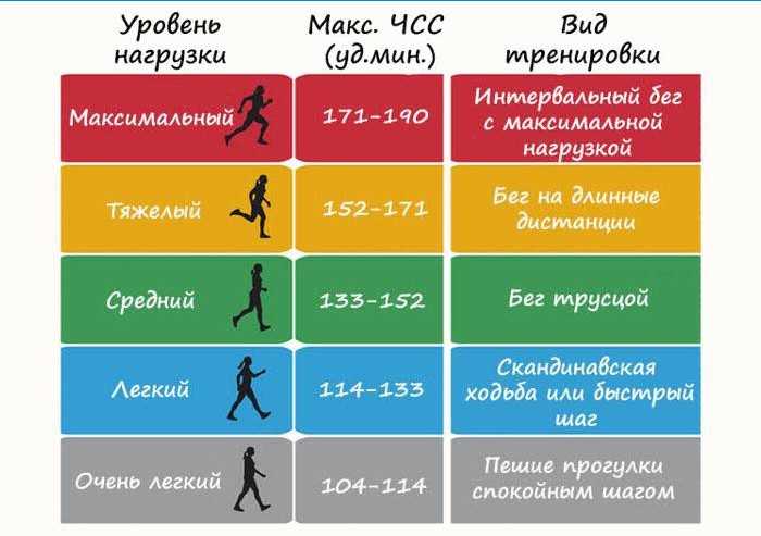 Razine opterećenja i vrste kardio-a