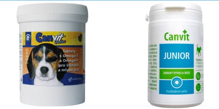 Vitamini Canvit Junior