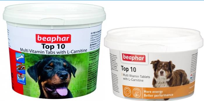 Top-10 od strane Beaphara
