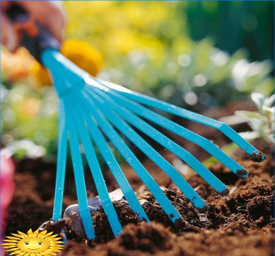Održavanje vrta: kako uštedjeti usjeve u toplini i suši