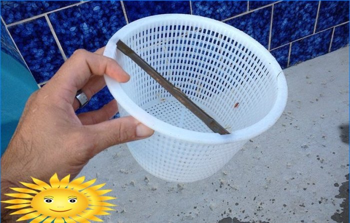 Pročišćavanje vode u bazenu: kako odabrati crpku, filter, skimmer