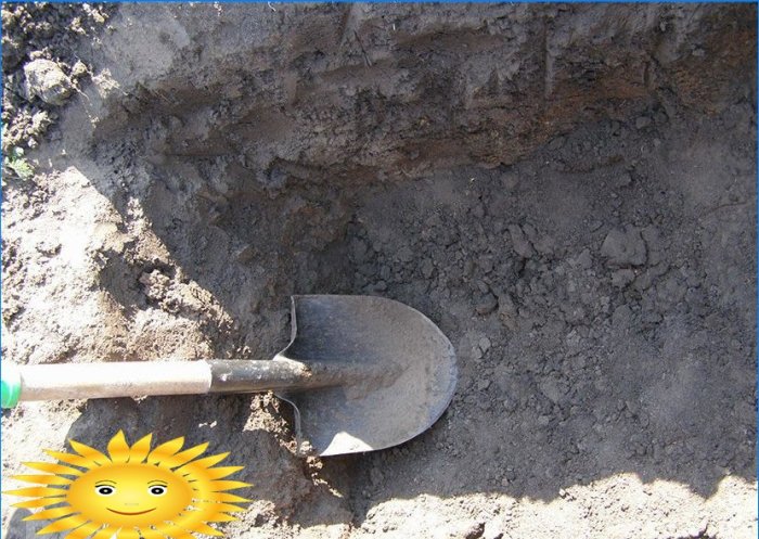 Savjeti vrtlara: kako napraviti jamu od komposta vlastitim rukama