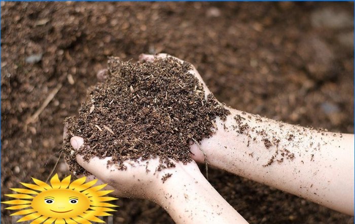 Savjeti vrtlara: kako napraviti jamu od komposta vlastitim rukama
