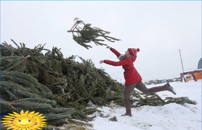 Što možete učiniti s božićnim drvcem nakon praznika