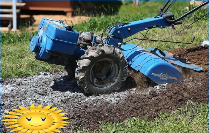 Planiranje vrta - priprema za sadnju povrća