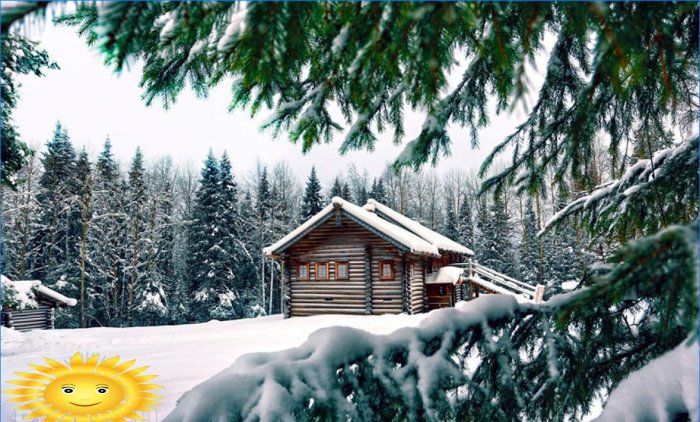 Zimske vikendice pokrivene snijegom: prekrasan izbor fotografija