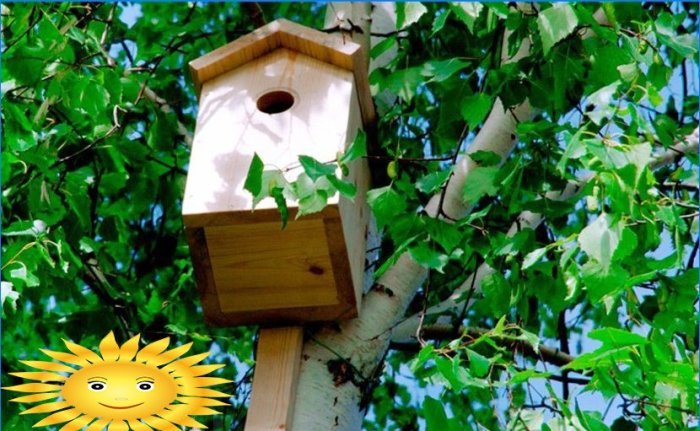 Birdhouse za starlinge