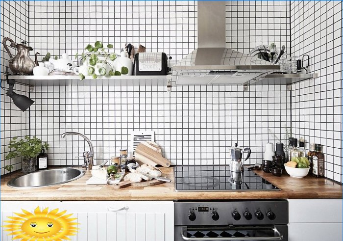 Odabir fotografija i značajke kuhinje skandinavskog stila