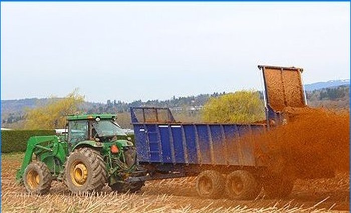 Odabir optimalnog gnojiva za vaš vrt