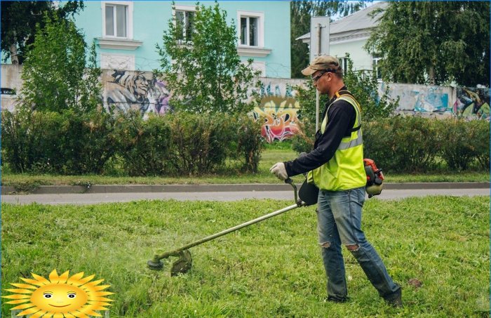 Kako odabrati trimer za travu