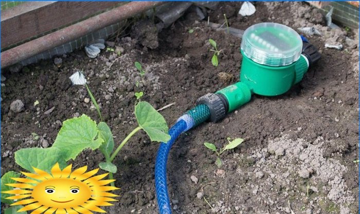 Kapi za navodnjavanje. Ispravna instalacija i višegodišnji rad