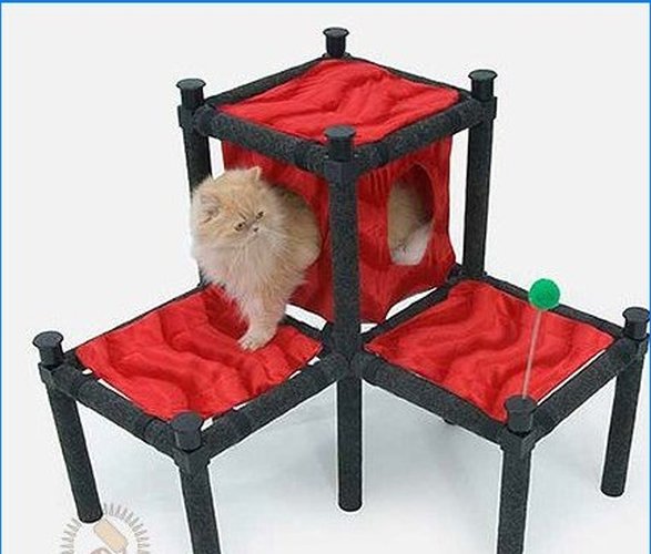 Ova stolica za mene, ovaj otoman za mačku - opremamo unutrašnjost mačke
