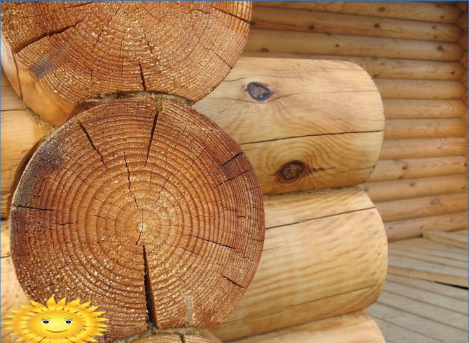 Pukotine u trupcima: uzroci i metode borbe