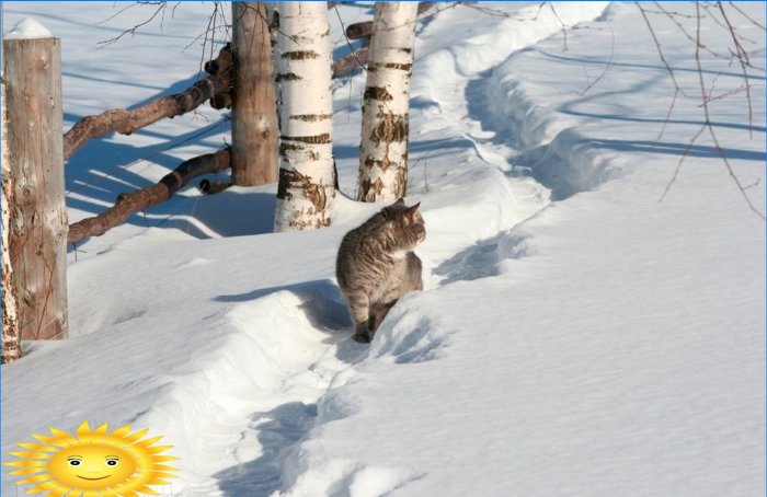 Zbirka fotografija: Ruska zima na selu