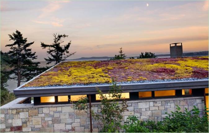Skupljanje kišnice u zemlji: Zeleni krov