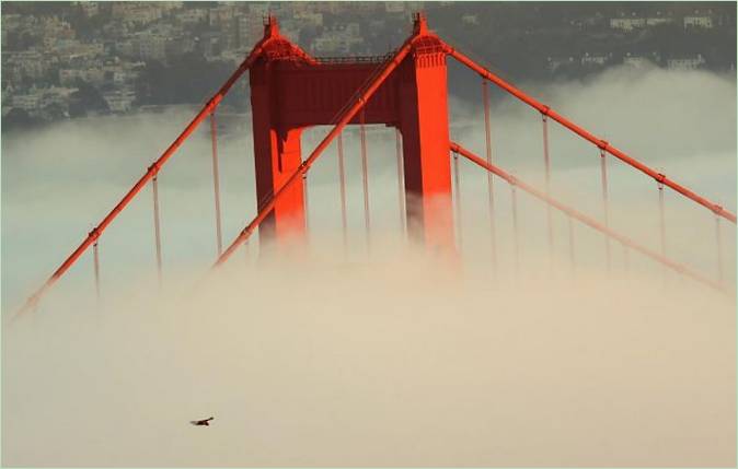 Crveni most koji viri iza magle