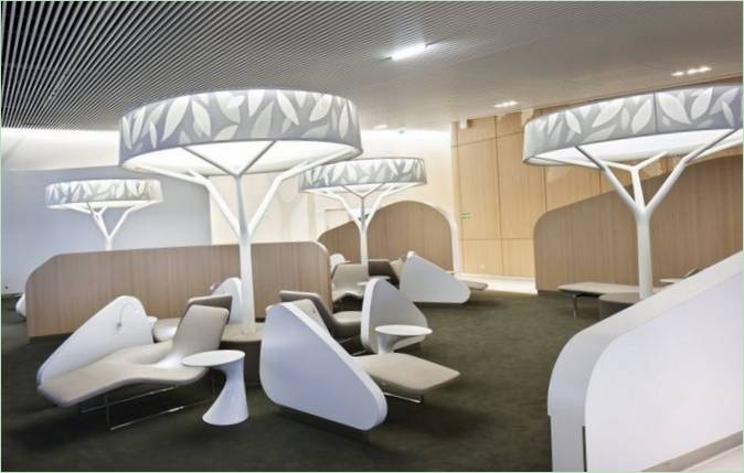 Prostor za sjedenje u zračnim lukama: dekor u Vedi bijelog drveća