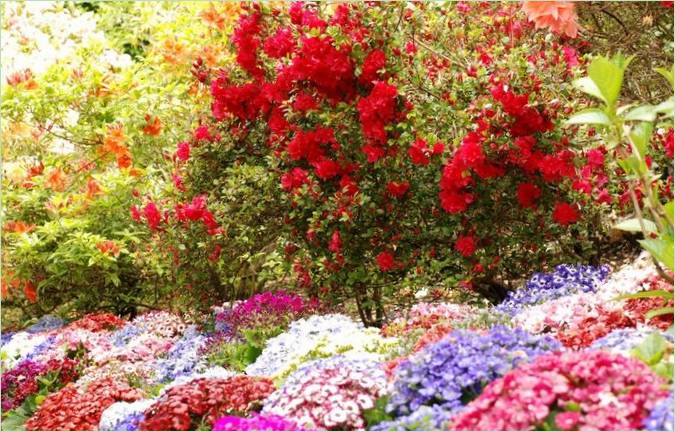 Butchart garden u Britanskoj Kolumbiji