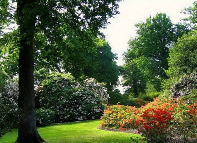Klasični park u Engleskoj