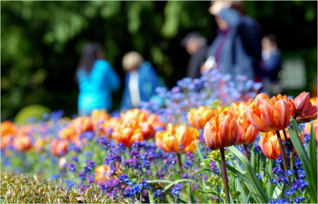 Butchart garden u Britanskoj Kolumbiji