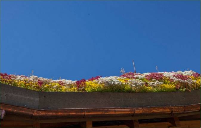 Rub krova zasađen sedumom u raznim bojama