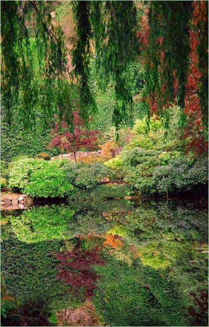 Butchart garden u Britanskoj Kolumbiji