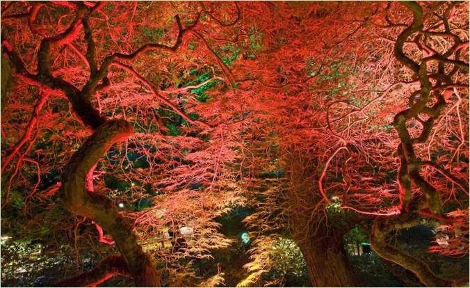 Butchart garden u Britanskoj Kolumbiji