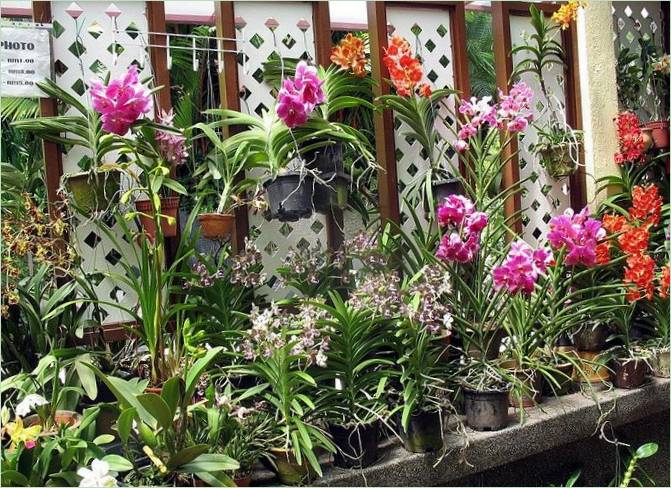 Vrt orhideja u Kuala Lumpuru