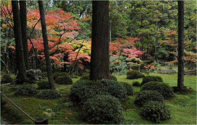 Vrt mahovine u Ina-Ina u Kjotu